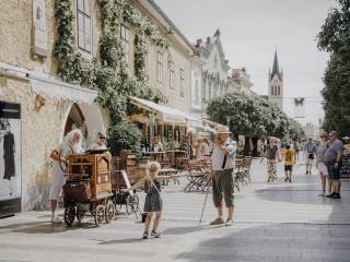 Paolantoni viene difeso da Carlucci dopo critiche di Selvaggia e Mariotto