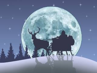 Papa proclama 14 nuovi santi: la messa con Mattarella e le celebrazioni