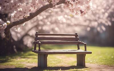 Pausa cellulare alle 10:00: migliora la produttività e la tua salute mentale