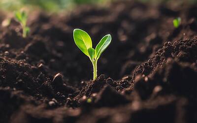 Pil del 2024 secondo Istat: Bankitalia prevede crescita lenta dello 0,8%