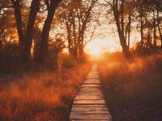 Riscatto contributivo 2023: anticipa la pensione con strategie vantaggiose