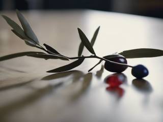 Ucraina esprime rabbia verso la Svizzera per il piano di pace fraintendimenti