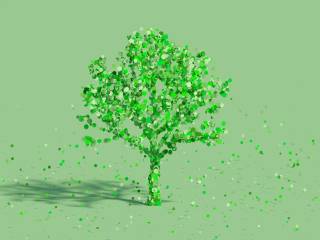 Wayla innovazione nel trasporto urbano condiviso: scopri il servizio on-demand