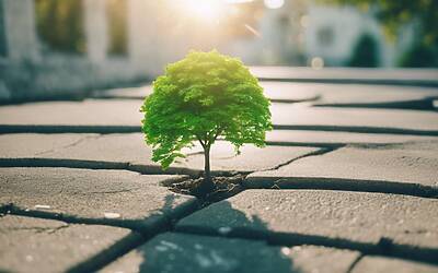 Accordo di Parigi: come raggiungere obiettivi climatici con investimenti adeguati