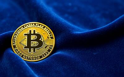 Bitcoin: Scopri i Sostenitori Crypto di Trump e le Loro Strategie Investitive