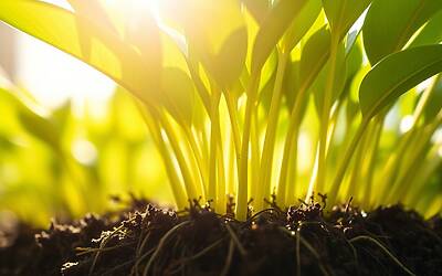 Caduta dei capelli: cause, rimedi e consigli per prevenirla efficacemente