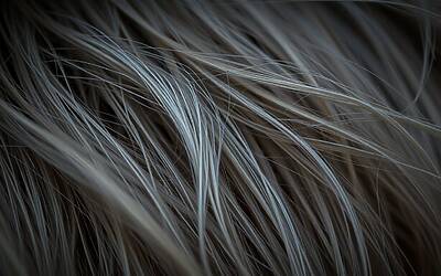 Capelli e invecchiamento: segnali da non ignorare e soluzioni efficaci