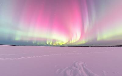 Cesare Cremonini annuncia l'uscita del nuovo album il 29 novembre