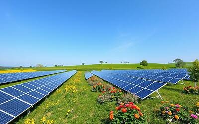 Consapevolezza ambientale in Italia: innovatori per un futuro sostenibile e responsabile