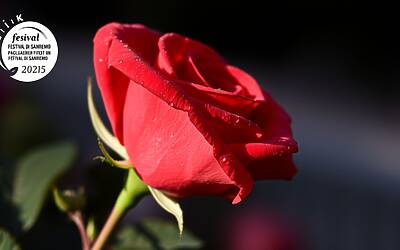 Festival di Sanremo 2025: novità sulla serata cover e annunci dei Big