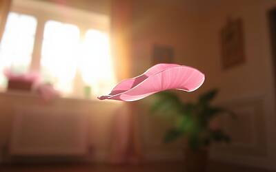 Gemma Galgani rivive il ricordo di Giorgio: emozioni forti a Verissimo