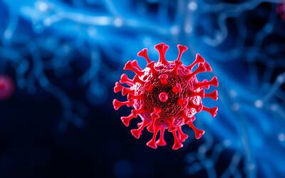 Herpes labiale e sue complicanze: il legame con il cervello spiegato