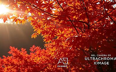 Huawei Mate 70 anticipa innovazioni: nuovo sensore fotografico per scatti luminosi