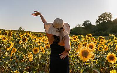 I giornali francesi sfidano di nuovo X in aula di tribunale