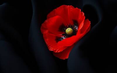 Kate Middleton e William incantano i social con un gesto inatteso