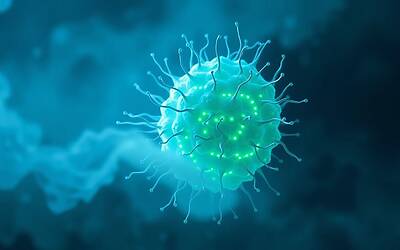 La gallina e l'uovo, scienziati svelano la verità definitiva sul mistero