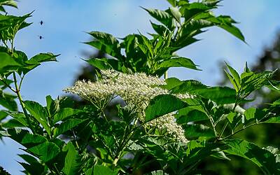 L'anestesista è Gesù: Victoria Cabello gioisce prima dell'intervento chirurgico