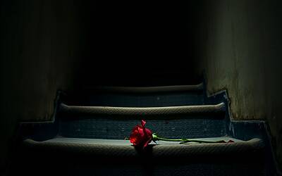 Maria Sestina Arcuri: la tragica storia del suo omicidio a Ronciglione