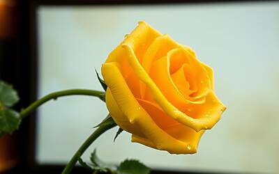 Mario Cusitore abbandona Uomini e Donne: Maria De Filippi sorpresa e commossa