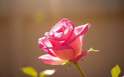 Medicina rigenerativa: scoprire i protocolli antiage per ringiovanire la pelle