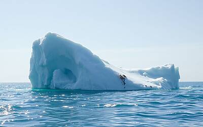 Mestysev Isola Artica: Effetti del Riscaldamento Globale sulla Sua Scomparsa
