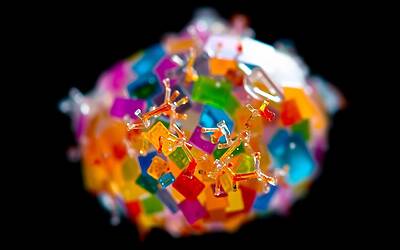 Microplastiche e salute umana: effetti dannosi sugli organi da conoscere