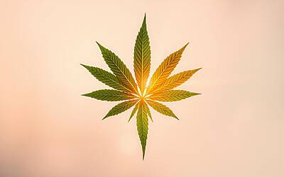 Naike Rivelli e la menopausa precoce: la sua storia di rinascita a 43 anni