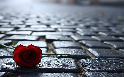 Napoli, tragico incidente: giovane di 18 anni muore per un colpo alla testa