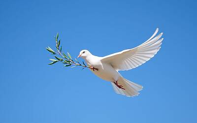 Papa Francesco invita all'unità in Ucraina per una pace duratura e speranza