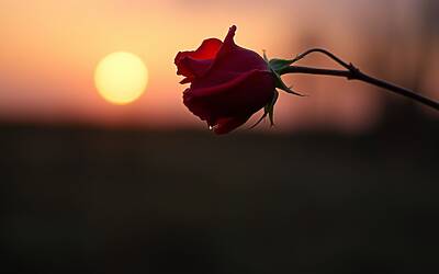 Riccardo Scamarcio racconta la sofferenza dopo la rottura con Valeria Golino