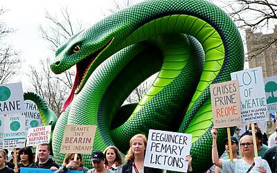 Serpente enorme alla Conferenza sul Clima: attivisti contro lobbisti dei combustibili