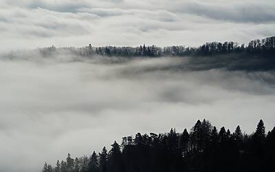 Tale e quale show 2024: vincitore della settima puntata e classifica aggiornata