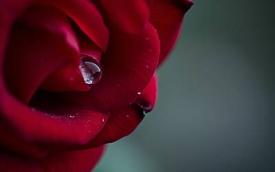 UeD Gemmadì: Martina conquista il pubblico e Maria con il suo talento