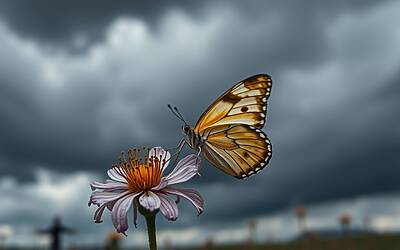 Allerta clima estremo: le aree più vulnerabili secondo il National Trust