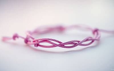 Cristina Scuccia sotto la lente: analisi delle dichiarazioni di Helena Prestes e la sua identità