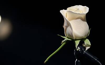 Eminem affranto per la scomparsa della madre: l'addio toccante e le sue parole