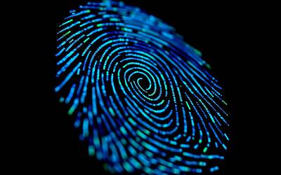 Fingerprinting: Google introduce nuove funzionalità per migliorare la pubblicità digitale