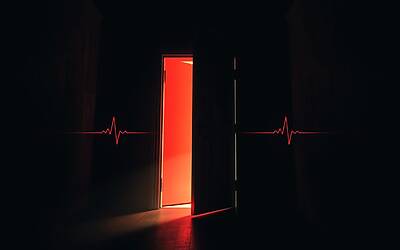 GF svela un mistero intrigante: rivelazioni sorprendenti prima della diretta