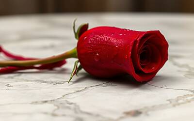 Grande Fratello, intrigo amoroso tra Alfonso D'Apice, Zeudi Di Palma e Maria Vittoria