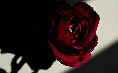 Harry esprime le sue emozioni sul divorzio da Meghan Markle in un'intervista profonda