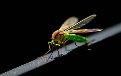 Mariotto e la controversa frase di Ballando: rivelazioni esclusive dal suo collaboratore