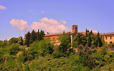 Nuova opzione di Google per risultati di ricerca non personalizzati e imparziali