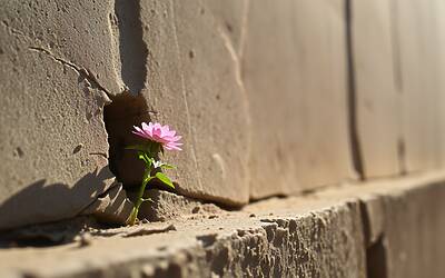 Procreazione assistita per single: la lotta di una donna per i diritti riproduttivi