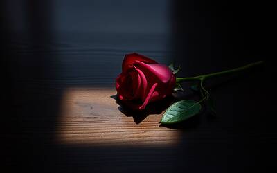 Raffaella Scuotto ricorda con dolore la sua perdita dopo Uomini e Donne