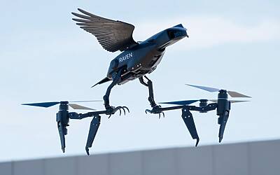 Robotto volatile del team svizzero: salta per decollare in volo