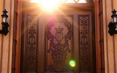 Telma Ortiz: impegno nella ONG, vita privata e legame con la regina Letizia di Spagna