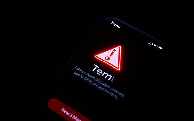 Temu: Rischi e Pericoli dell'App da Conoscere Assolutamente per la Sicurezza Online
