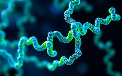 Tumore alla vescica, nuova scoperta su proteina chiave per la terapia futura