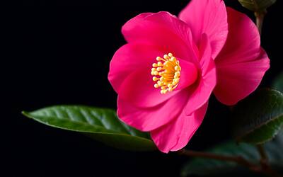 Beppe Convertini guida la serata su Rai Uno per combattere violenza e tumori al seno