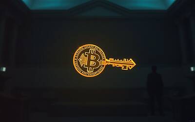 Bitcoin e Texas: Scontro Legale per il Recupero di un Tesoro Milionario